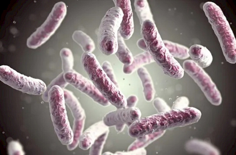 (Photo: Kateryna Kon/Science Photo Library RF/Getty)